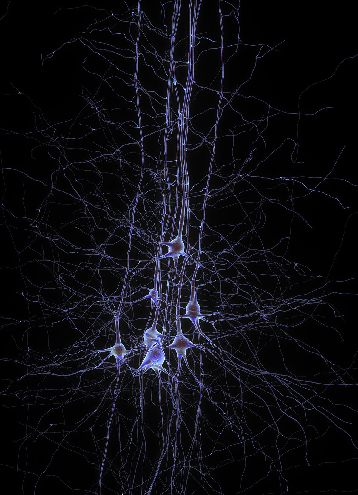 como crecer neuronas neurogenesis cerebro salud 