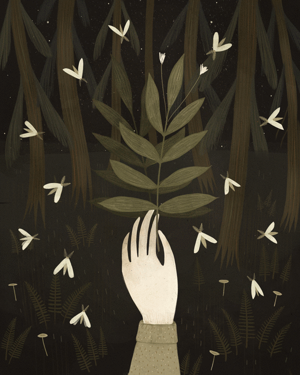 ilustraciones animadas bosque cuentos hadas naturaleza
