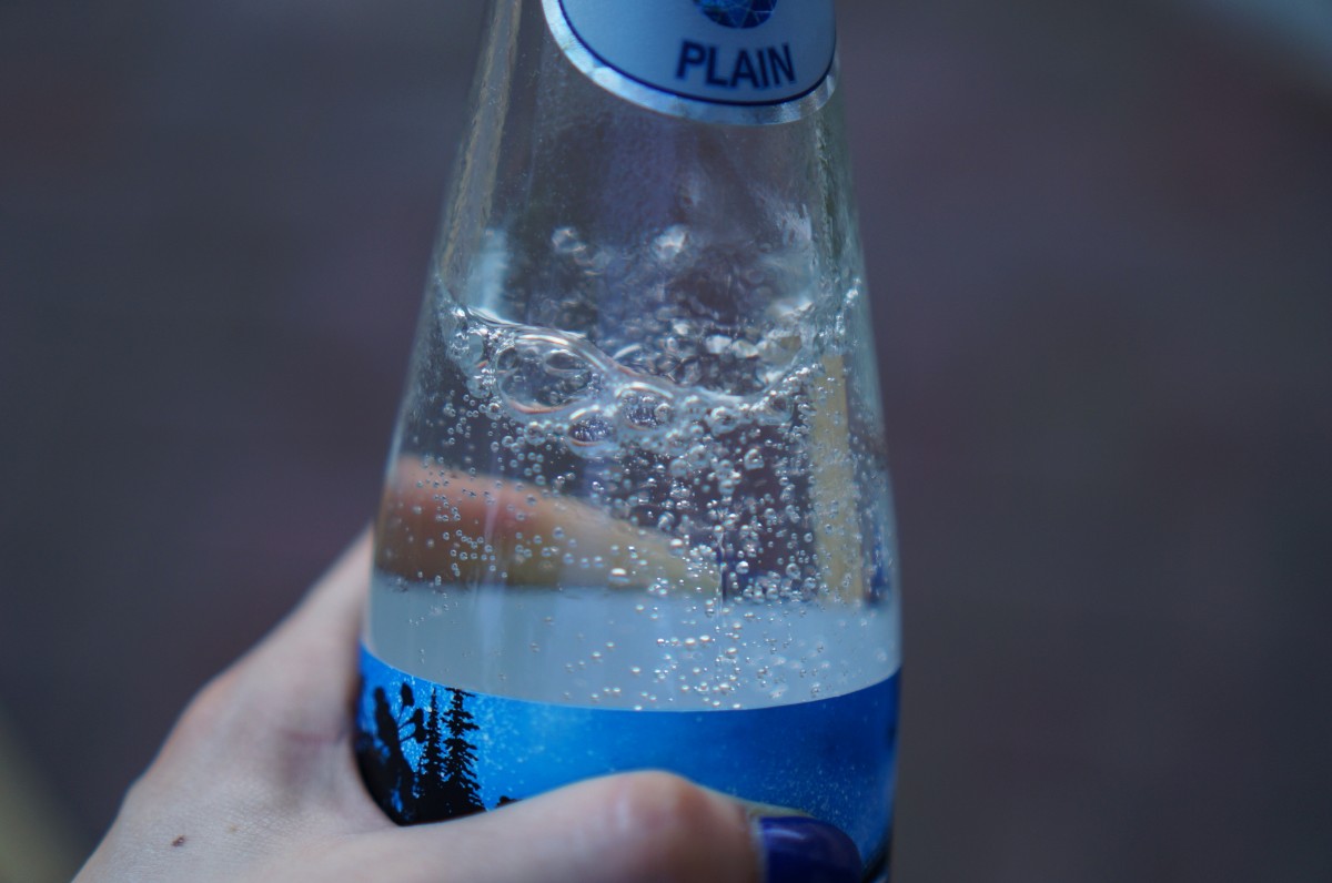 ¿Cuál es la botella más eco amigable que puedes usar para agua?.